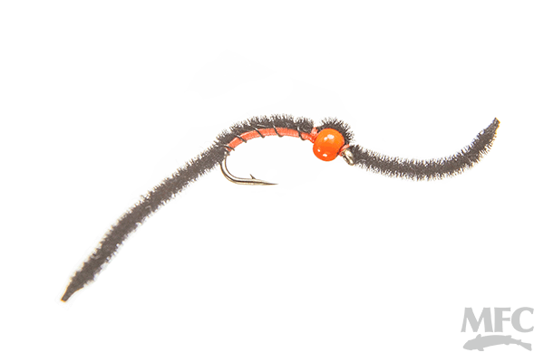 MFC Hot Worm (6-pack)