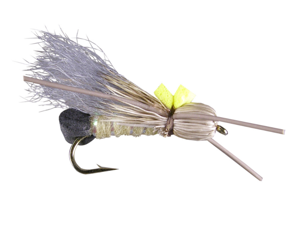 Bullethead Skwalla (6-pack)