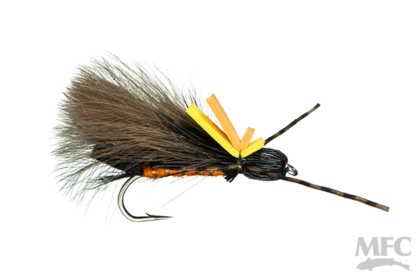 Oswald's Rastaman Stonefly (6-pack)
