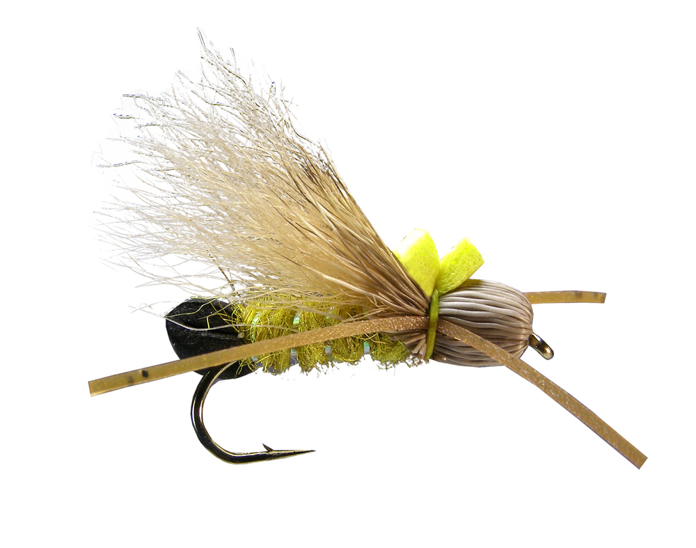 Bullethead Golden (6-pack)