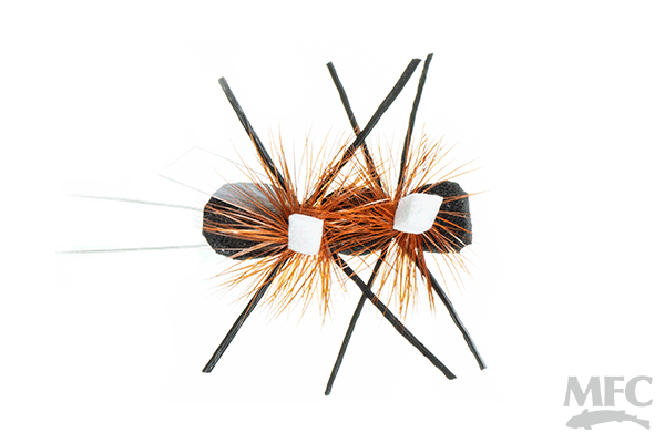 Green River Flying Ant (6-pack)