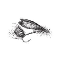 FLIES (1) 1.png__PID:6b08130d-7f16-4b46-9c5a-b2cb3cde1be3